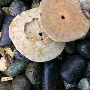 WP_20140201_001_edited